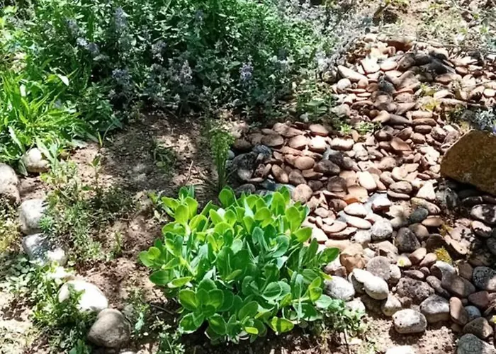 Lovely In Rose Resort, Nastanitev v družini *