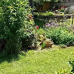 Проживание в семье Lovely In Rose Resort, Любляна