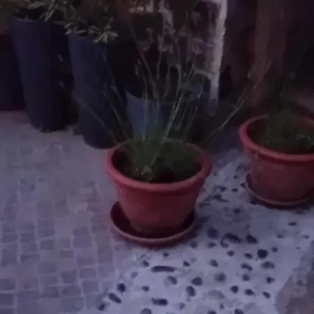 Δωμάτια σε οικογενειακή κατοικία Lovely In Rose Resort,