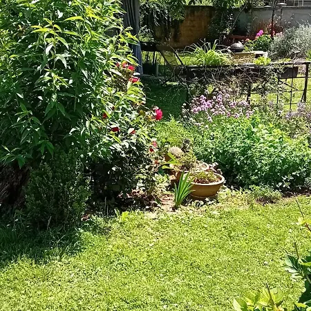 Δωμάτια σε οικογενειακή κατοικία Lovely In Rose Resort, Λιουμπλιάνα