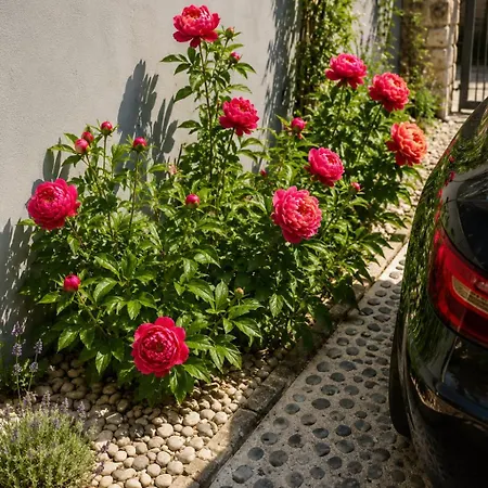 Lovely In Rose Resort,