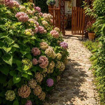 Lovely In Rose Resort, *